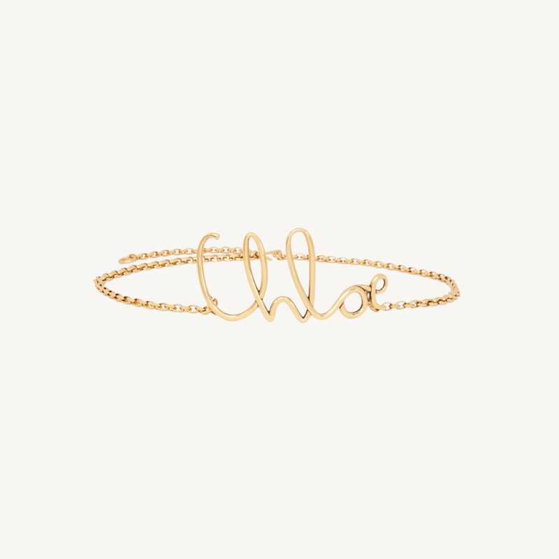 The Chloé Iconic Small Belt