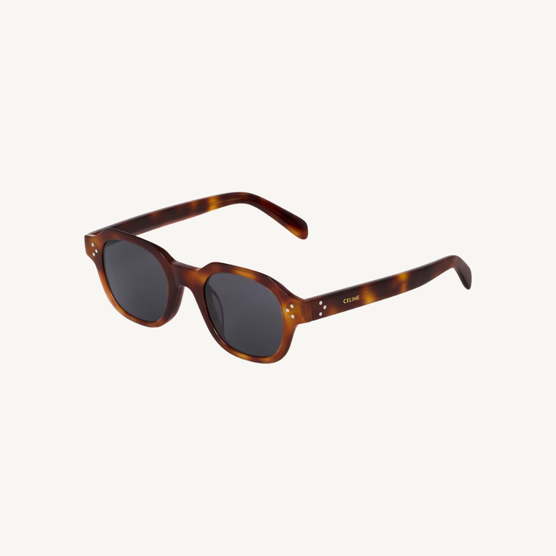 Brown Frame 60 Sunglasses