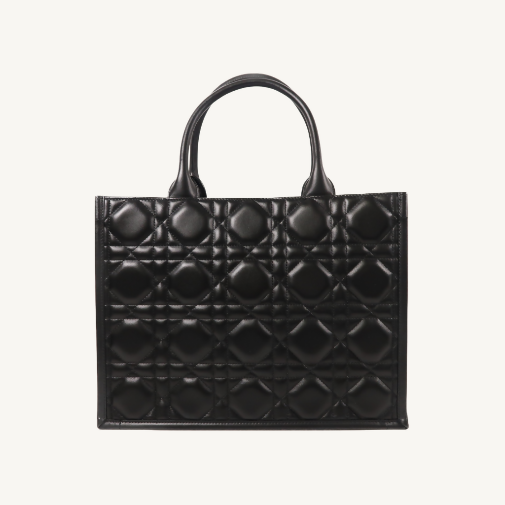 Dior Medium Book Tote
