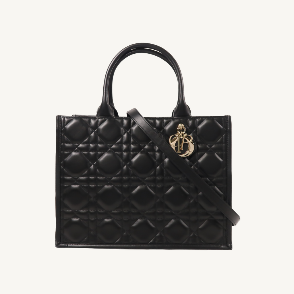 Dior Medium Book Tote