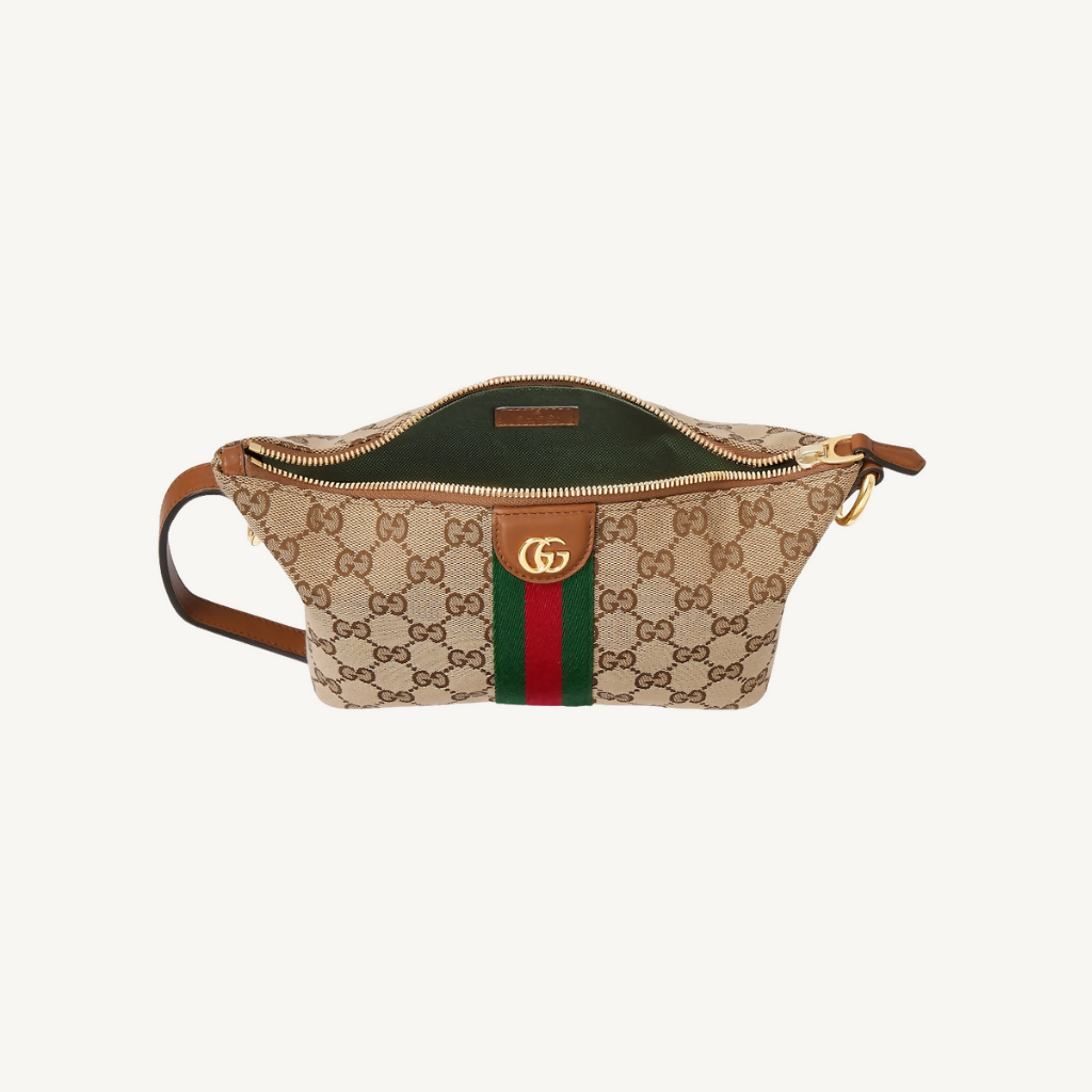 حقيبة غوتشي فانيتي ميني