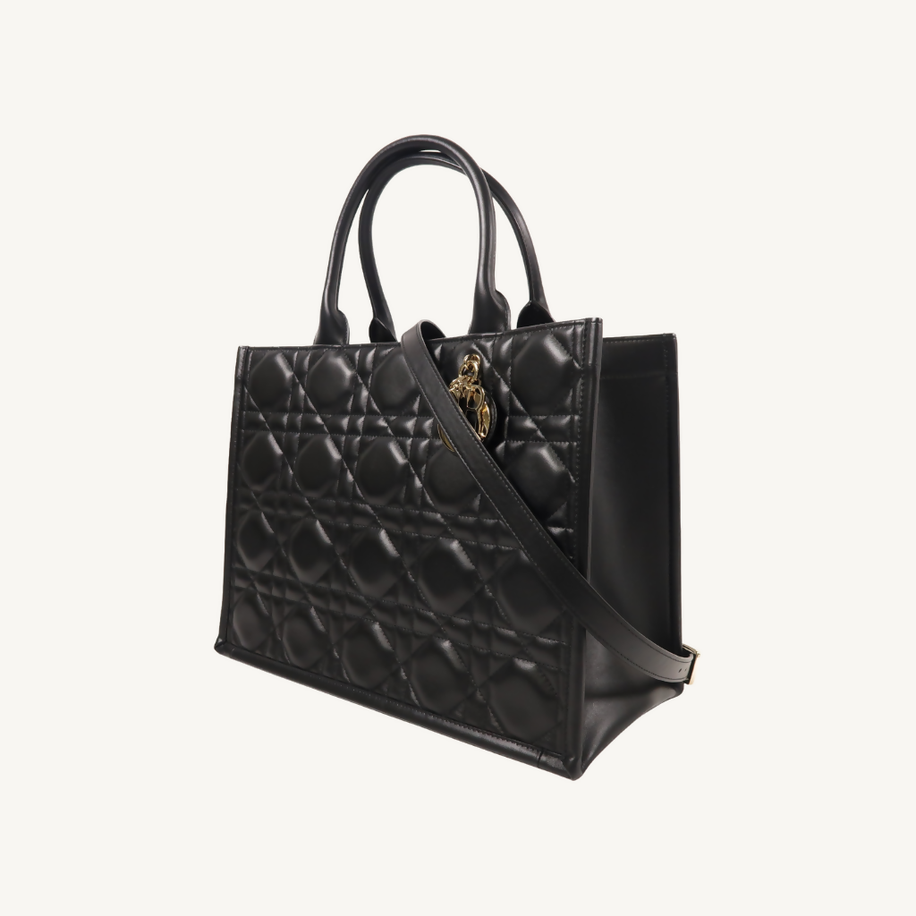Dior Medium Book Tote