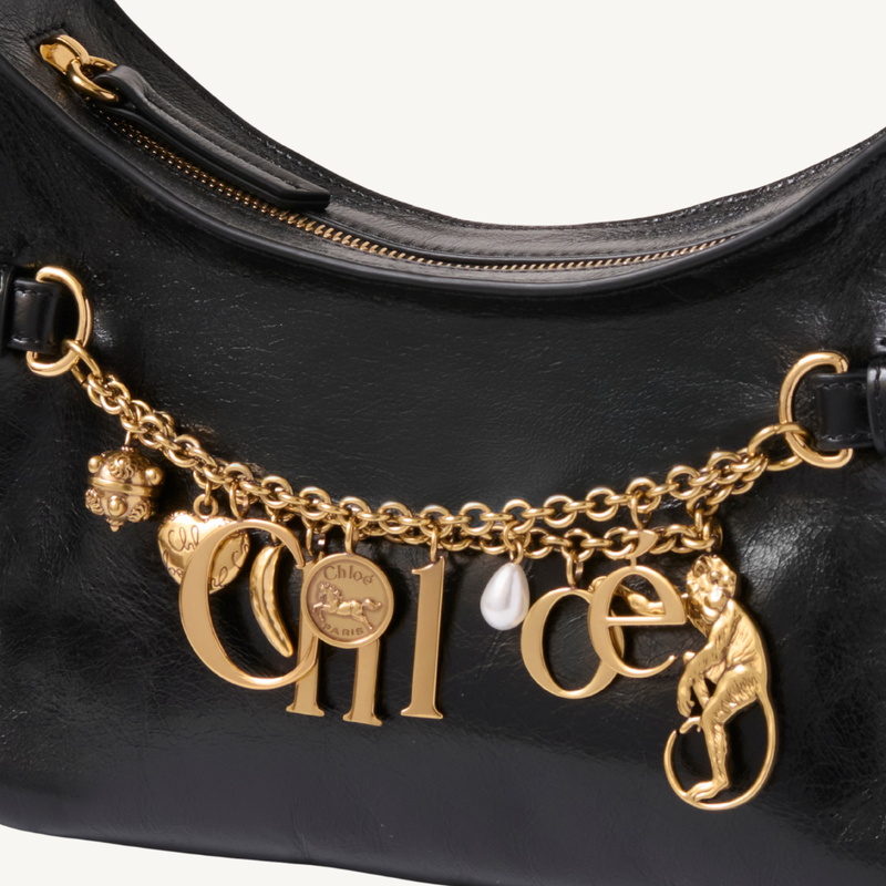 Charms Hobo Bag
